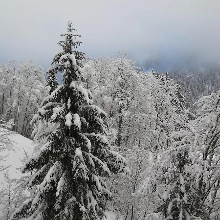 Koluma Mansi * Les Diablerets